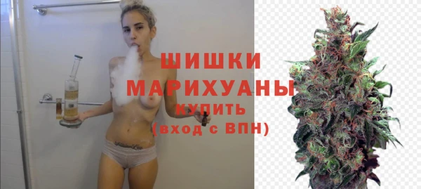 амф Протвино