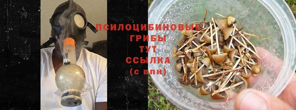 соль ск Рославль